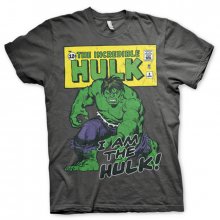 Marvel pánské tričko Distressed I Am The Hulk