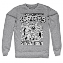 Teenage Mutant Ninja Turtles mikina Distressed Since 1984