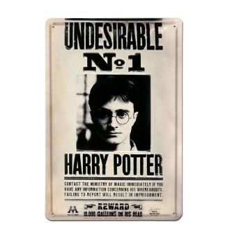 Harry Potter 3D kovová tabulka Undesirable No 1 20 x 30 cm