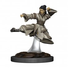 D&D Icons of the Realms Premium Miniature pre-painted Human Monk