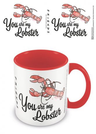 Friends Coloured Inner Hrnek You are my Lobster