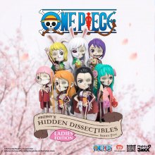 One Piece Blind Box Hidden Dissectibles Series 5 (Ladies ed.) Di