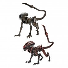 Aliens: Fireteam Elite Akční figurka 23 cm Series 1 Case (8)