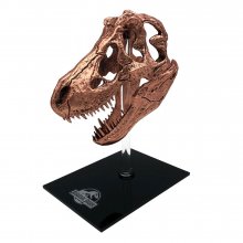 Jurassic Park Scaled autentická replika T-Rex Skull 10 cm