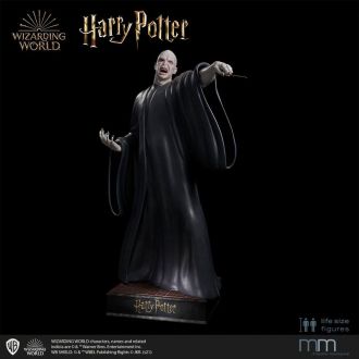 Harry Potter and the Deathly Hallows Life-Size Socha Harry Pott
