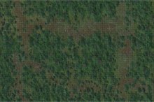 D&D Icons of the Realms: Battle Mat Forest