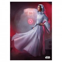 Star Wars kovový plakát Princess Leia 32 x 45 cm