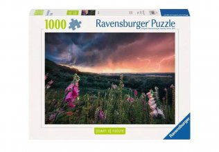 Power of Nature skládací puzzle A Storm is coming (1000 pieces)