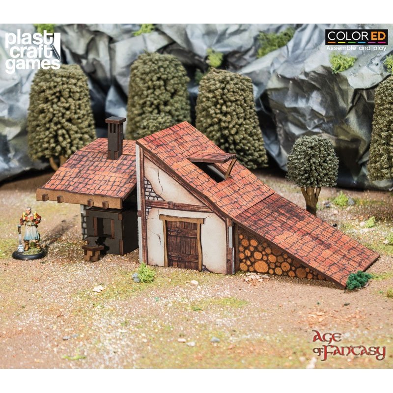 Age of Fantasy ColorED Miniature Gaming Model Kit 28 mm The Anvi